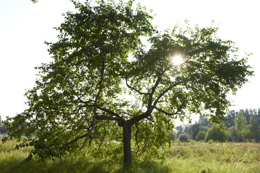 Similar image 5487141