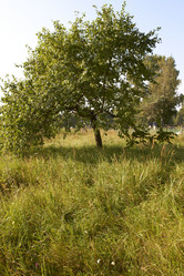 Similar image 5487142