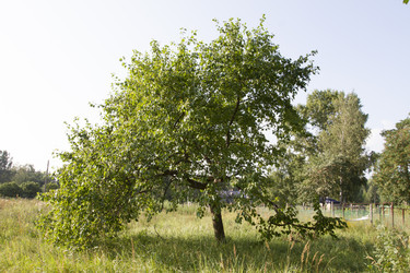 Similar image 5487150