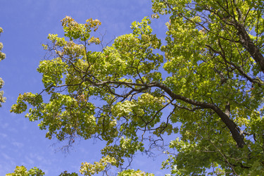 Similar image 5487164