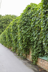 Similar image 5487180