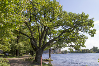 Similar image 5487187