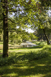 Similar image 5487190