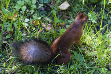 Similar image 5487209