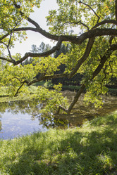 Similar image 5487224