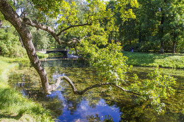 Similar image 5487225