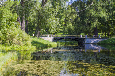 Similar image 5487226