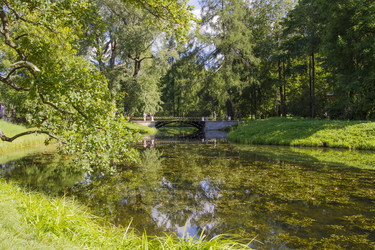 Similar image 5487230