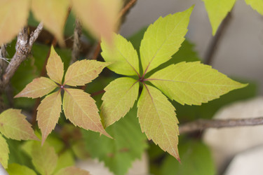 Similar image 5487235