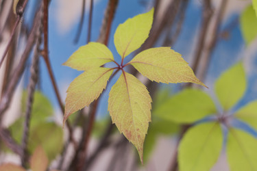 Similar image 5487236