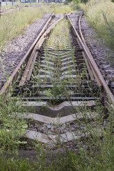 Similar image 5487242