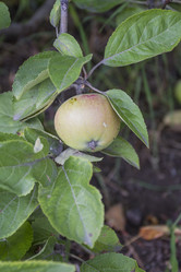 Similar image 5487247