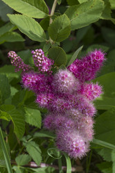 Similar image 5487342