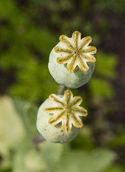 Similar image 5487345