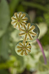 Similar image 5487347