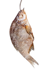 Similar image 5487360