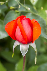 Similar image 5487383