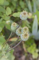 Similar image 5487387