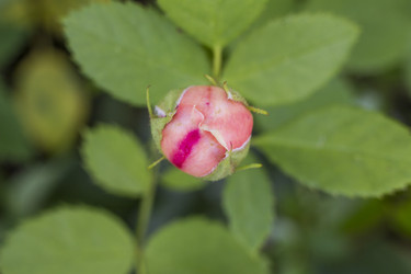 Similar image 5487388