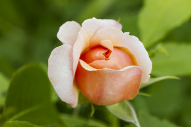 Similar image 5487389