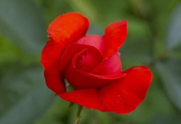 Similar image 5487390