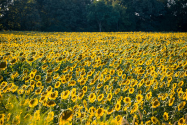 Similar image 5487571