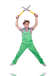 Similar image 5487630