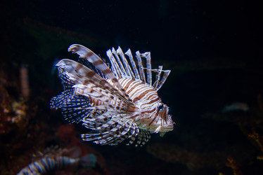 Similar image 5487634