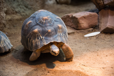 Similar image 5487665