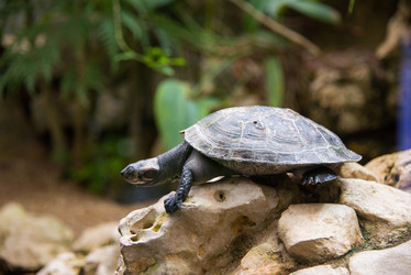 Similar image 5487666