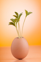 Similar image 5488165