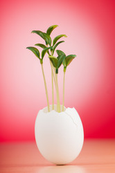 Similar image 5488169