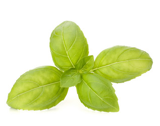 Similar image 5488199