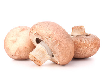 Similar image 5488219