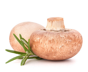 Similar image 5488222