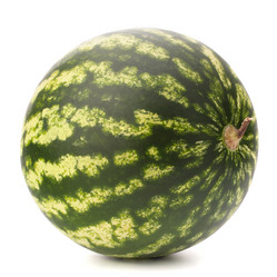 Similar image 5488235