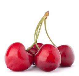 Similar image 5488239