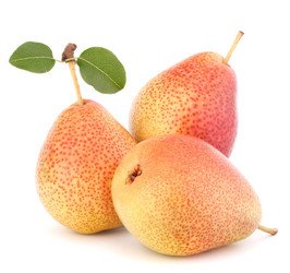 Similar image 5488244