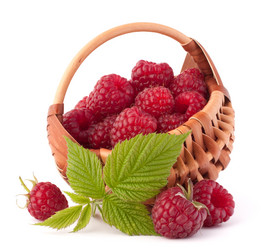 Similar image 5488254