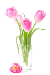 Similar image 5488258