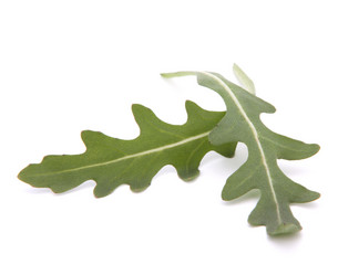 Similar image 5488273