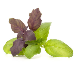 Similar image 5488298