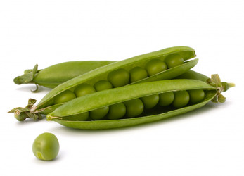 Similar image 5488301