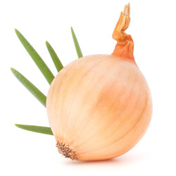 Similar image 5488313