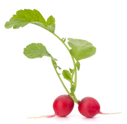 Similar image 5488339