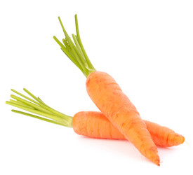 Similar image 5488345