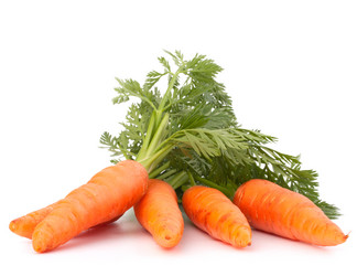 Similar image 5488348