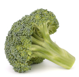 Similar image 5488360