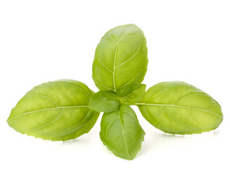 Similar image 5488363