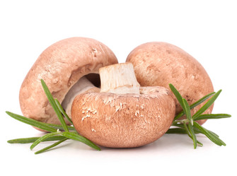 Similar image 5488383